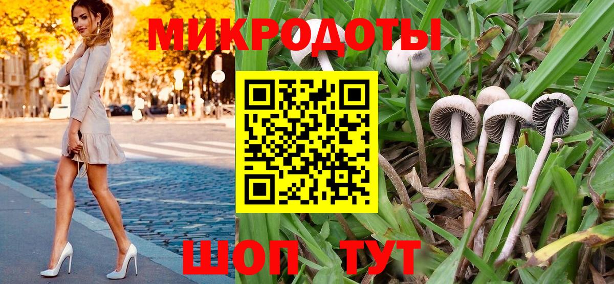 Псилоцибиновые грибы MAGIC MUSHROOMS Соль-Илецк