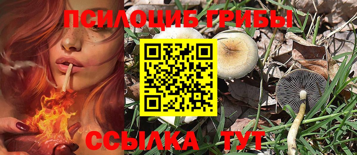 Меф кристаллы  Марихуана  Гашиш  НБОМе  Меф МЯУ МЯУ  Соль-Илецк  Вход с VPN 